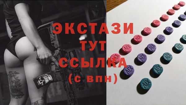 дживик Богородицк