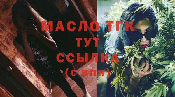 дживик Богородицк
