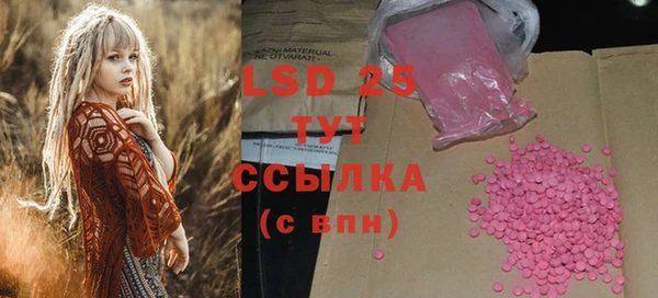 дживик Богородицк